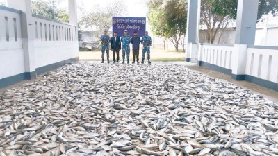 চাঁদপুরে ১৩০ মণ জাটকাসহ আটক ৭
